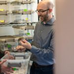 Biological sciences professor receives R01 funding from NIH to expand genome editing tools in lizards
