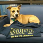 Join the MUPD team for Tails on the Trail Annual 5K Run/Walk, June 23