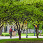 Marquette partners with MMSD on two green infrastructure projects on campus
