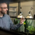 Biological sciences professor receives $1.17M NSF grant to study sex chromosome evolution in lizards and snakes