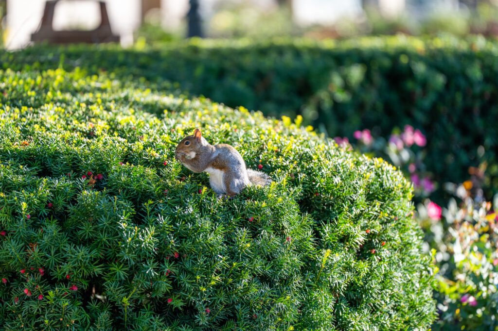 Cleaner and greener Marquette strives for a more sustainable campus