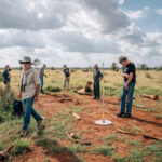 People examining elephant carcasses.