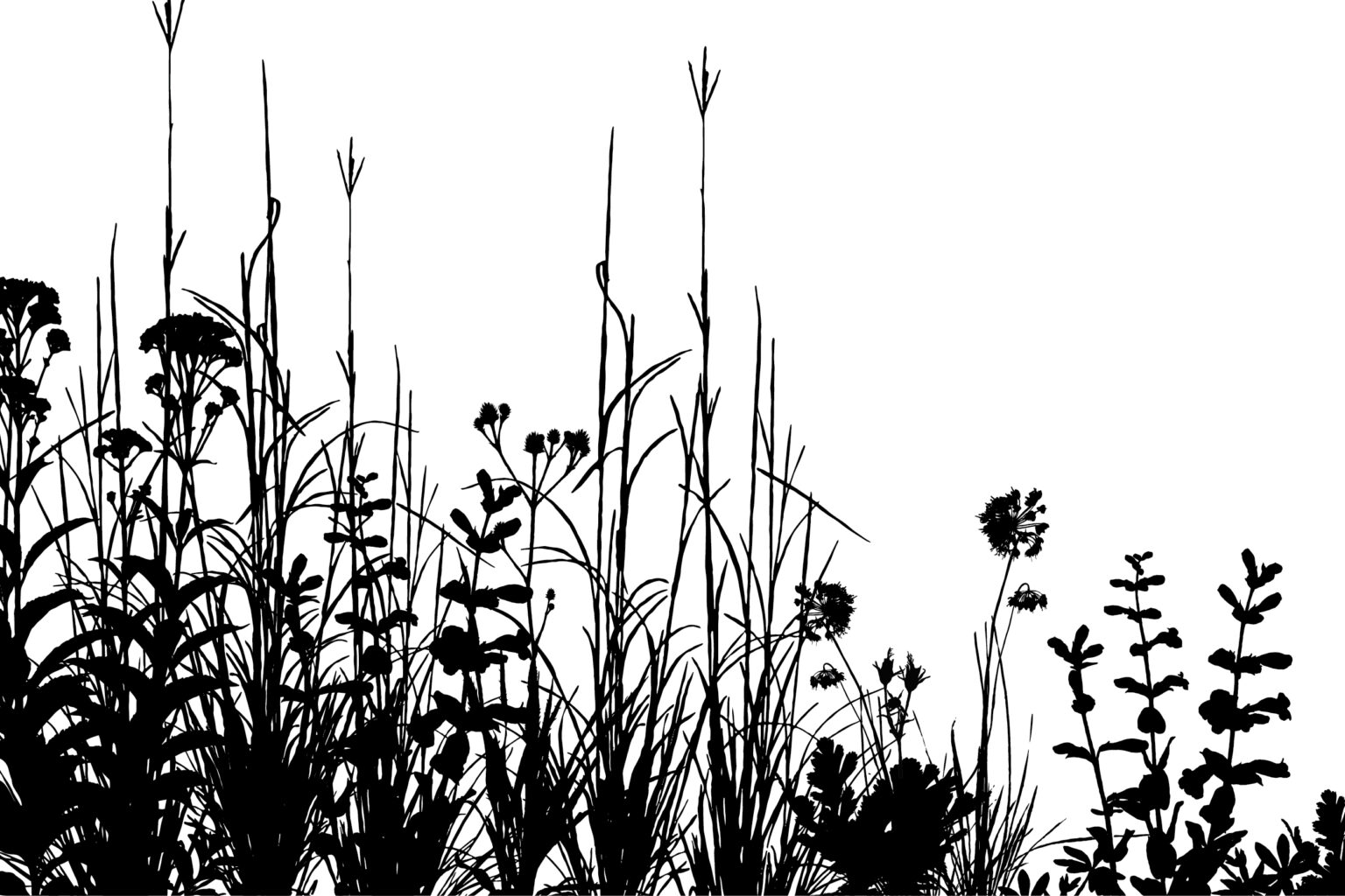 Prairie outline