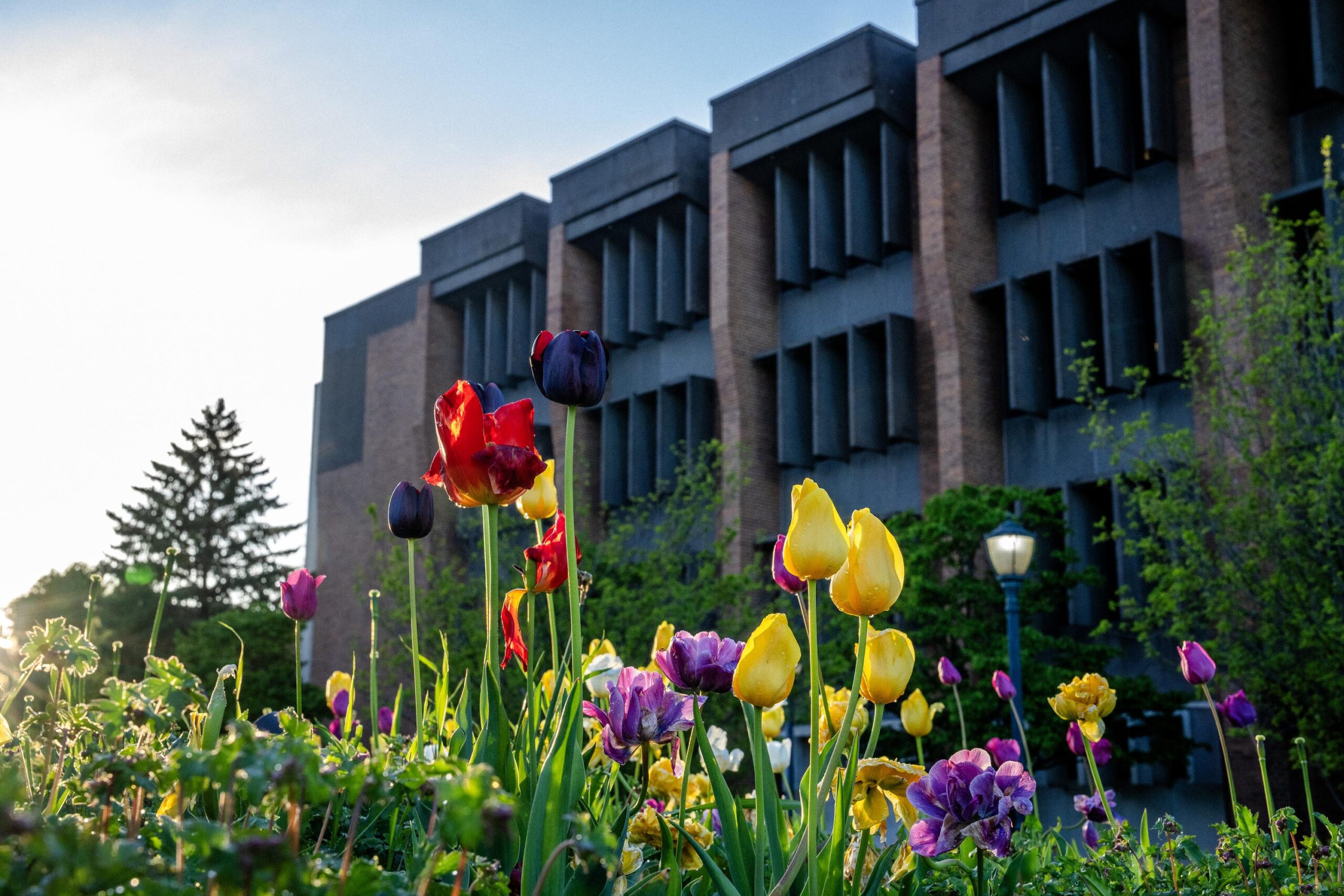 FAFSA delay update for returning students Marquette Today