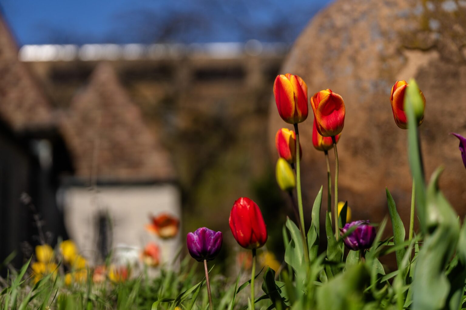 Spring break | Marquette Today