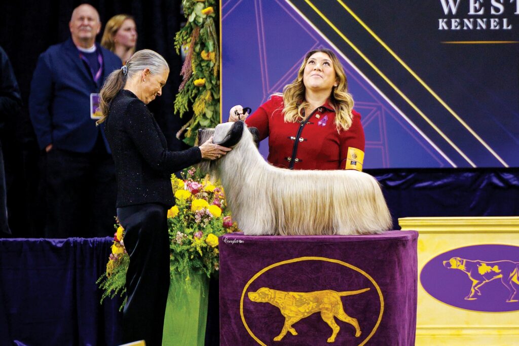 Westminster dog show