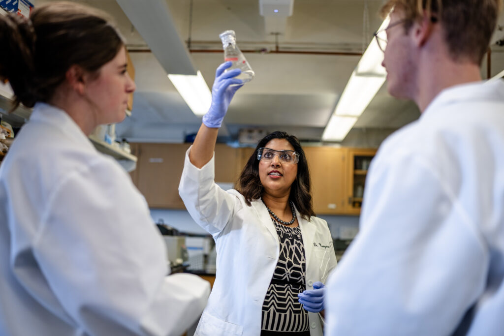 National Science Foundation grant strengthens research