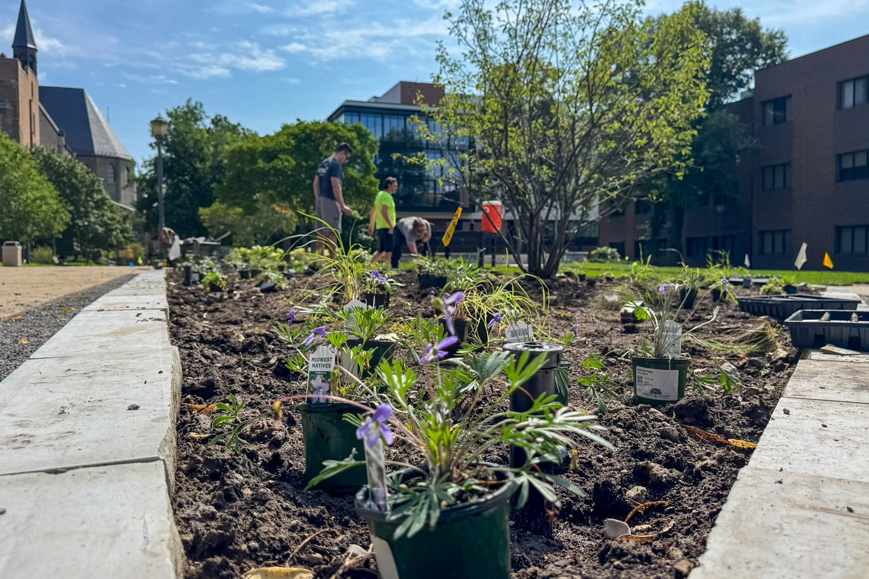 Take Part In Take part in campus sustainability events during October | Marquette Today